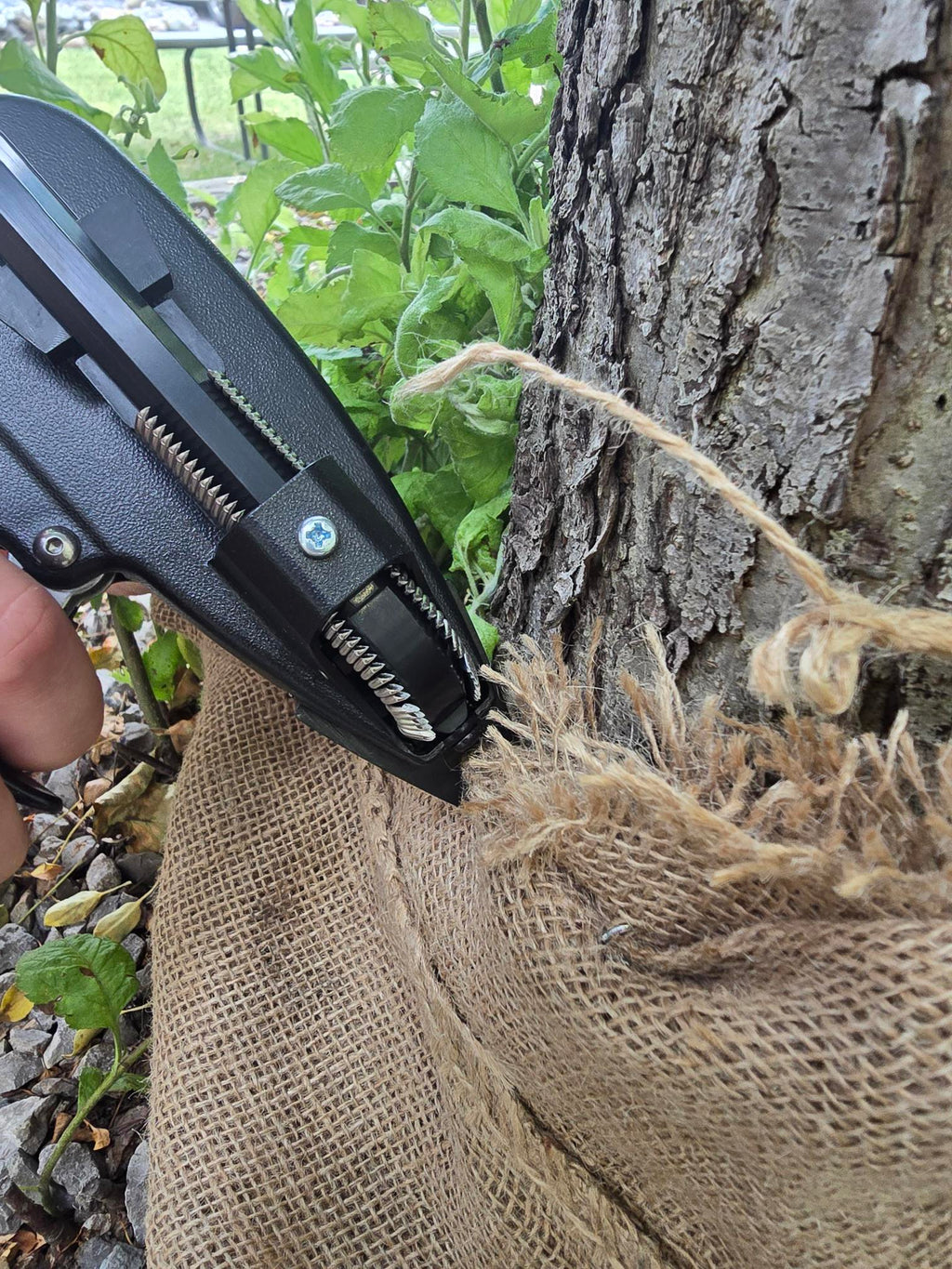 515D50 9/16" 15 Gauge D - Style Hog Ring