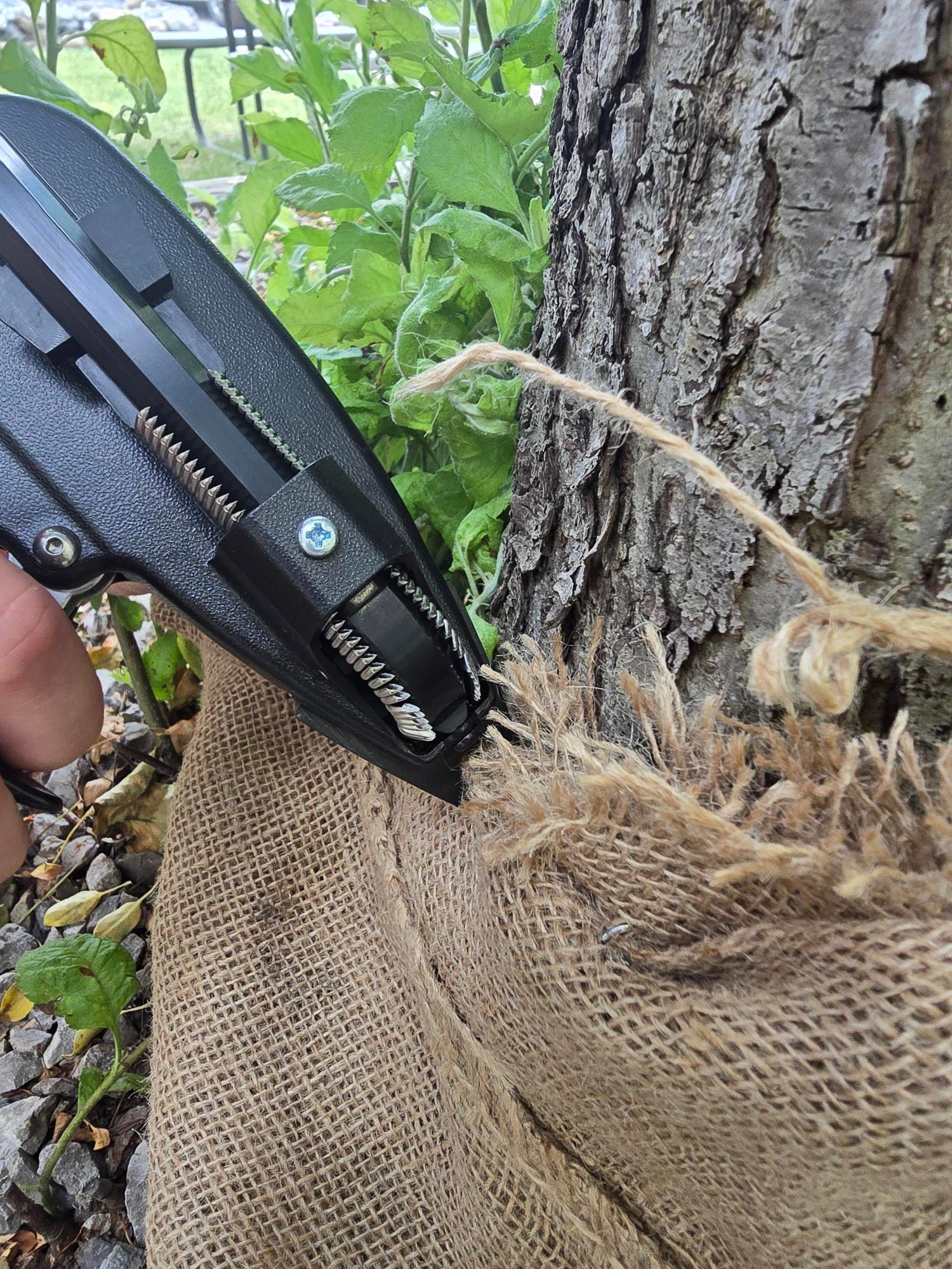 15D50 3/4" 15 Gauge D-Style